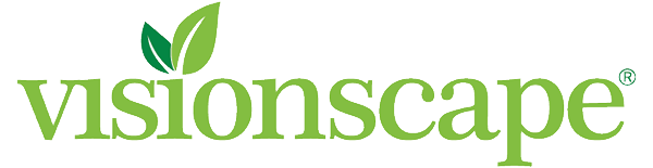 Visionscape Logo